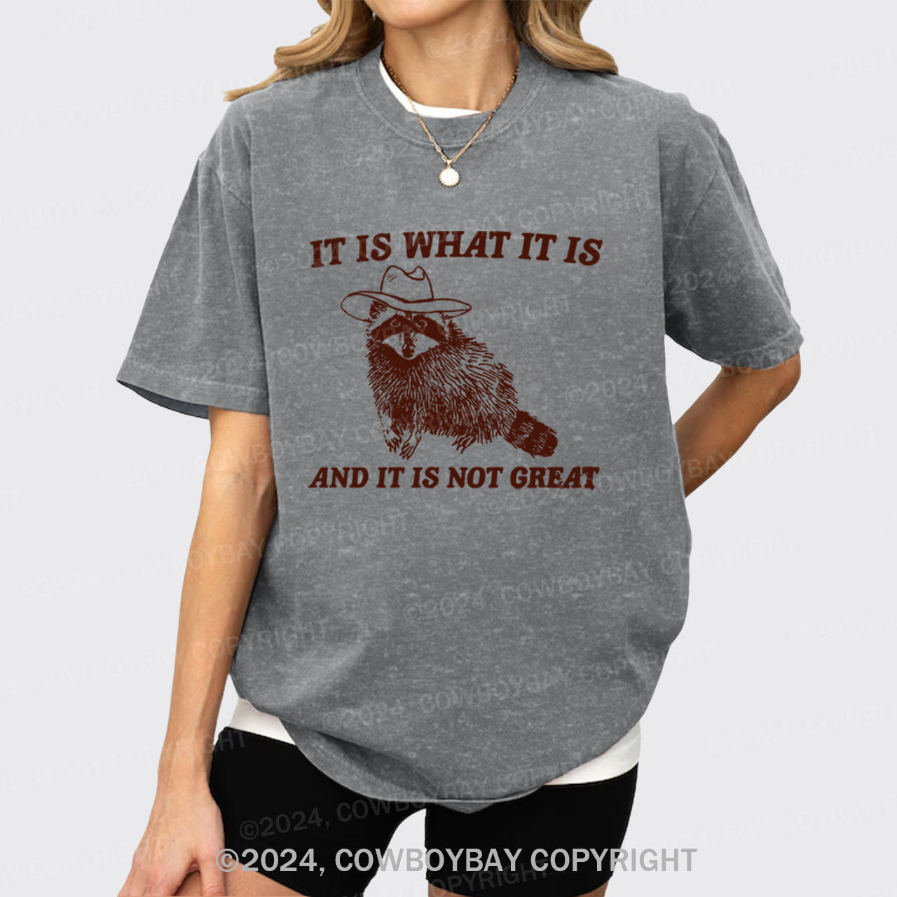 It Is What It Is And It Is Not Great Garment-dye Tees