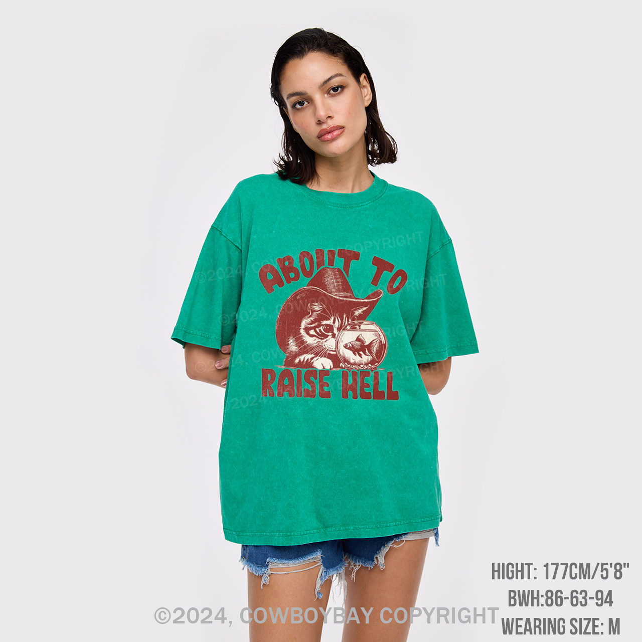 About To Raise Hell Garment-dye Tees