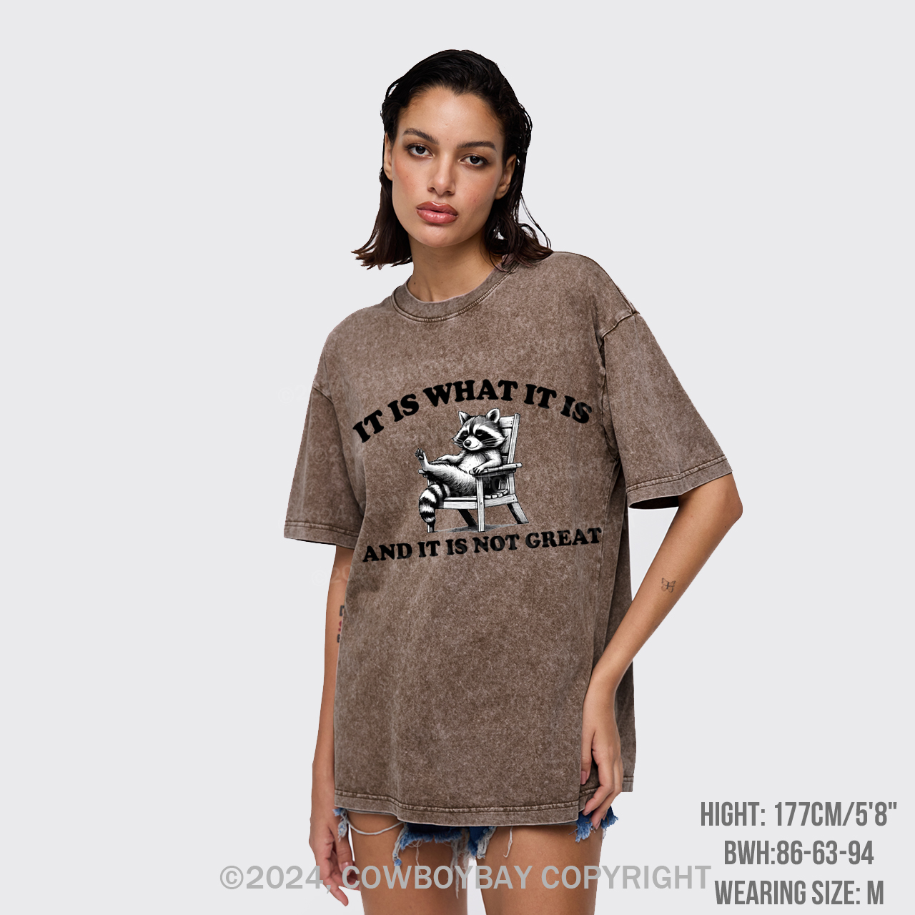 It Is What It Is And It Is Not Great Garment-dye Tees