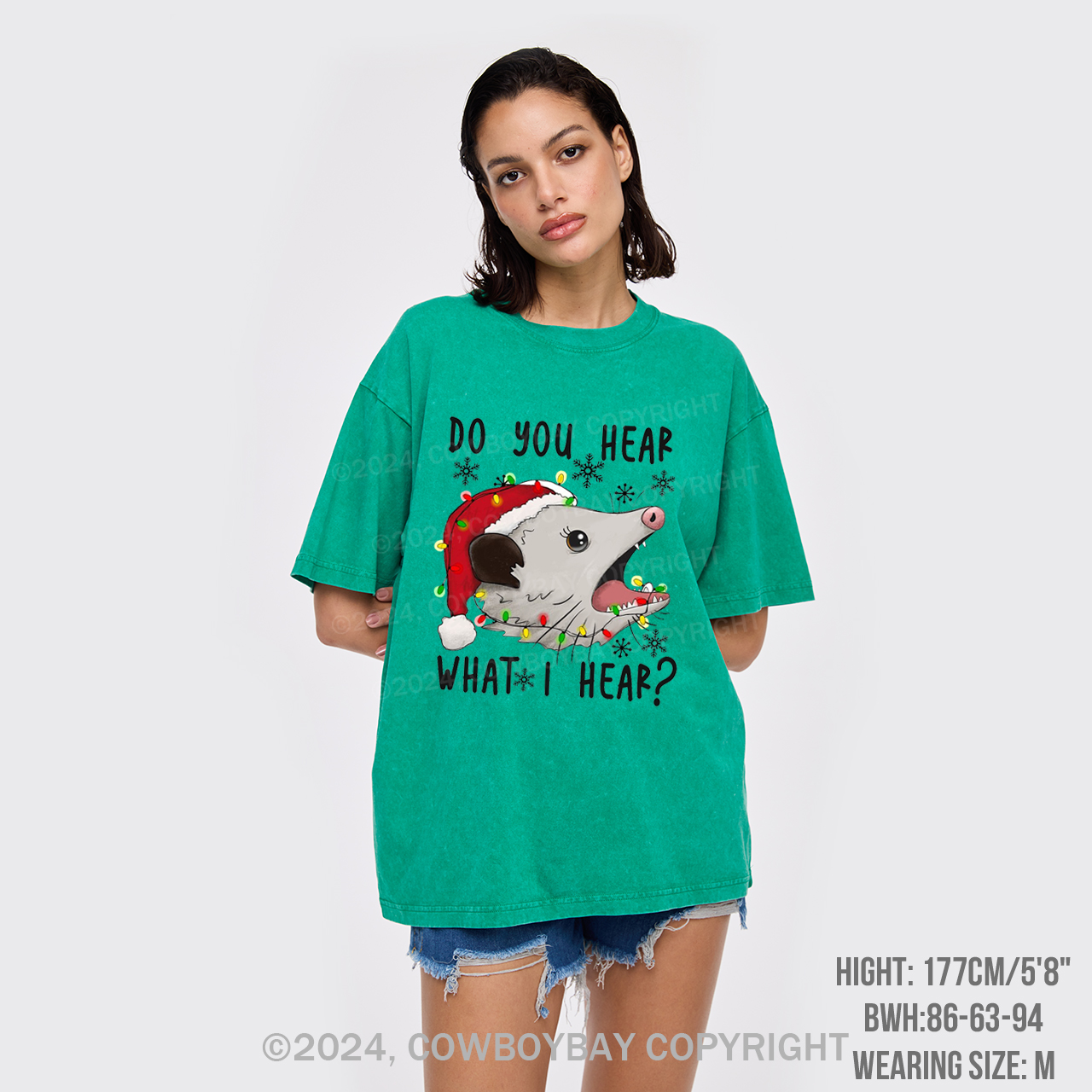 Do You Hear What I Hear Garment-dye Tees