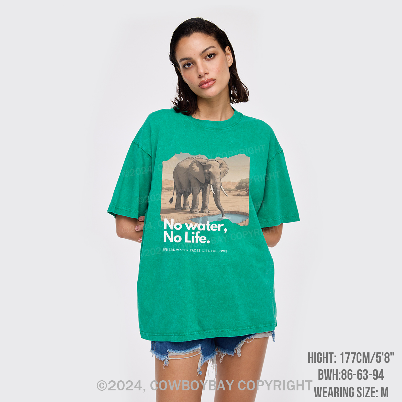Elephant And Climate Change Protest Garment-dye Tees