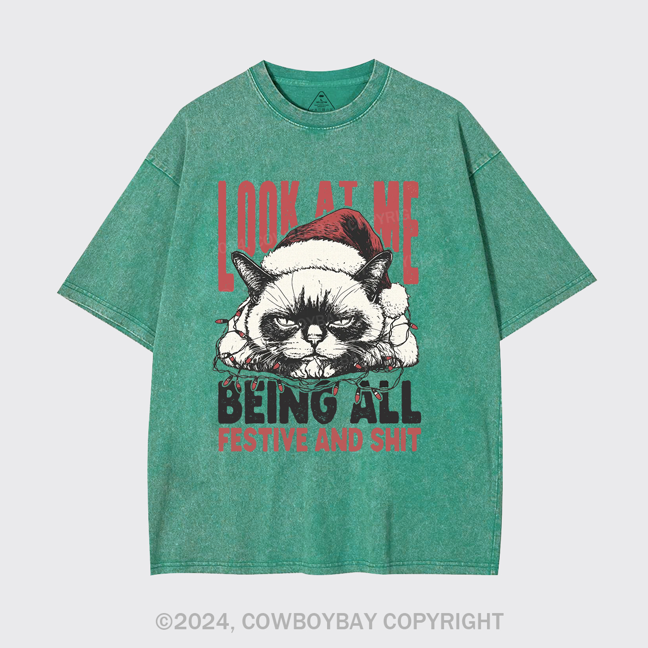 Funny Christmas Cat Garment-dye Tees