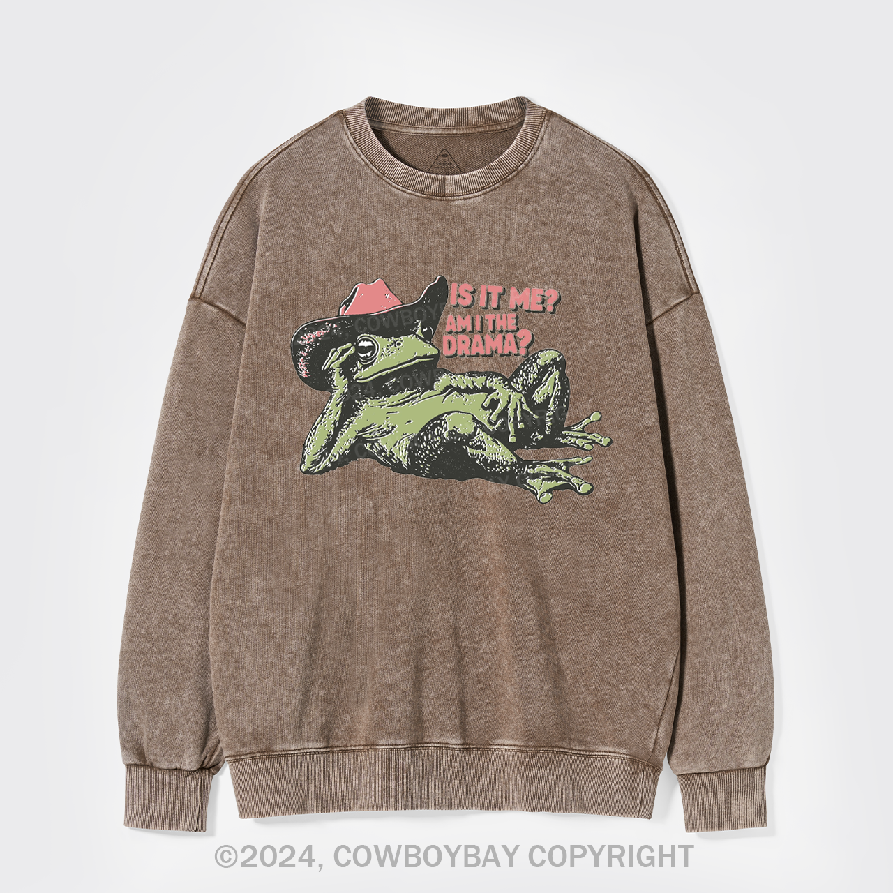 Is It Me, Am I The Drama Washed Sweatshirts