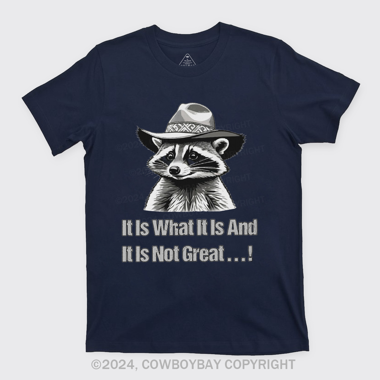It Is What It Is And It Is Not Great T-Shirts