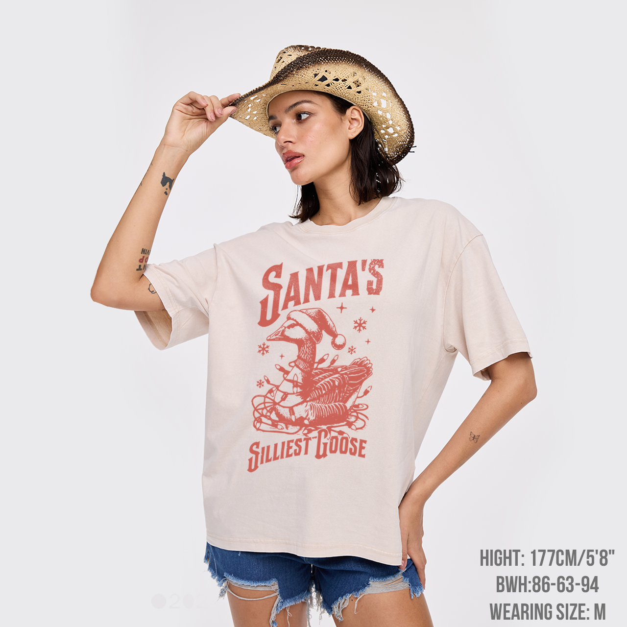 Vintage Santa's Silliest Goose Garment-dye Tees