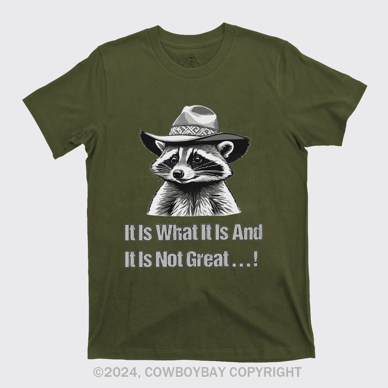 It Is What It Is And It Is Not Great T-Shirts
