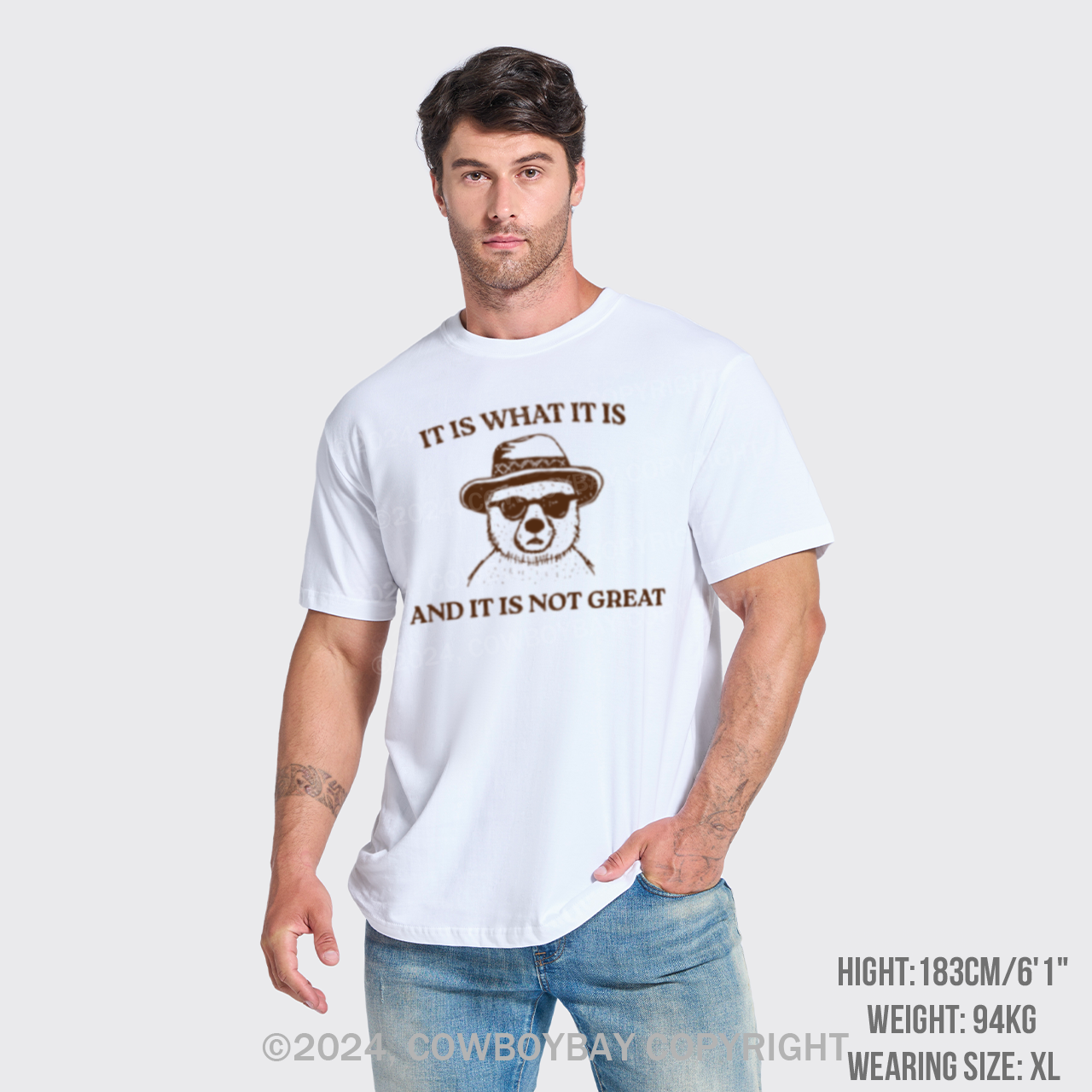 It Is What It Is And It Is Not Great T-Shirts