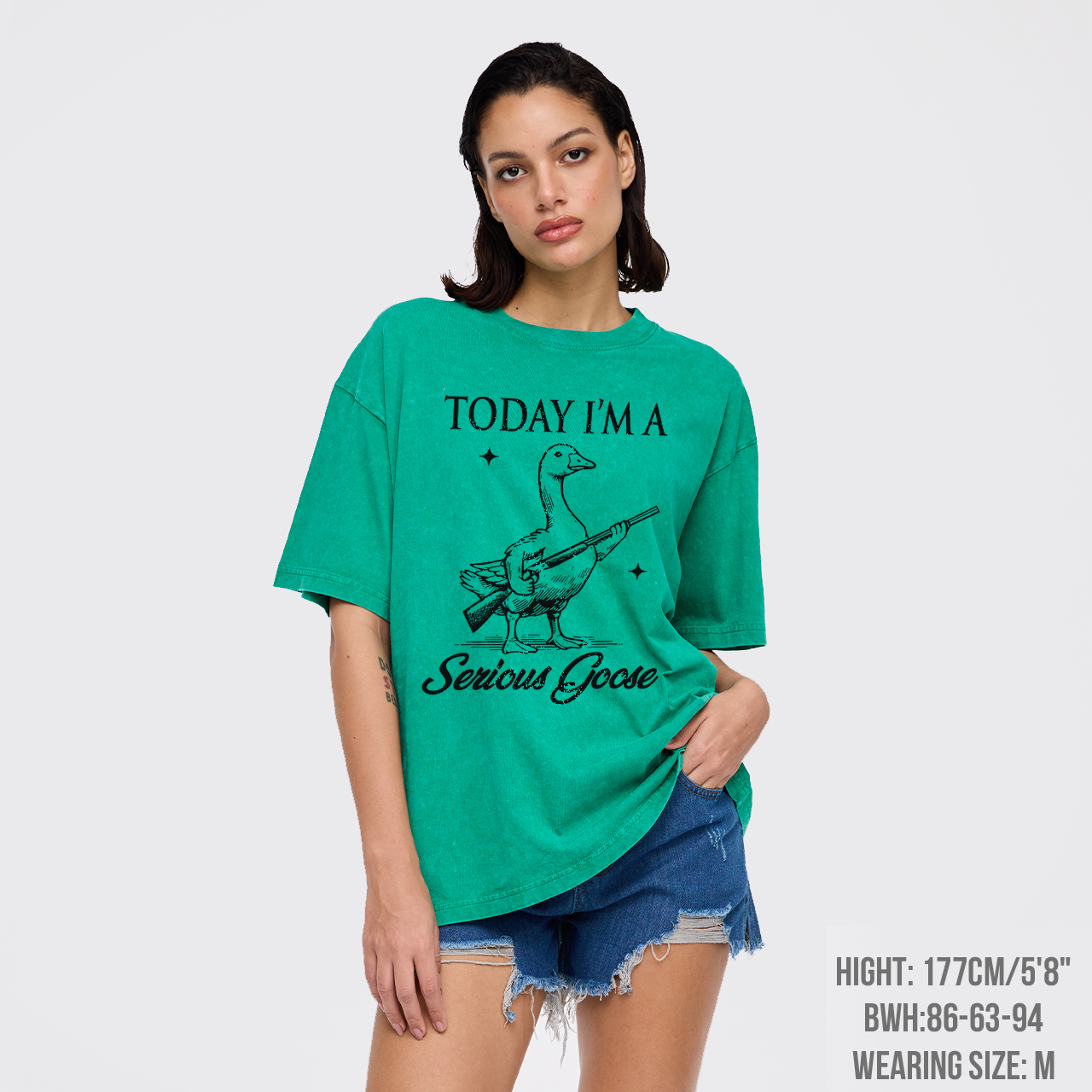 Today I'm Serious Goose Garment-dye Tees