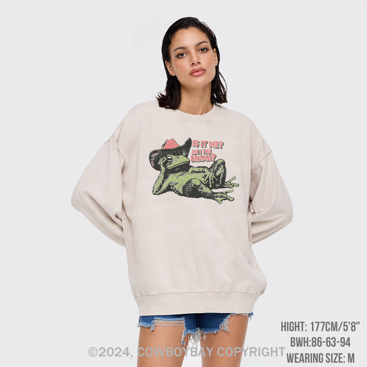 Is It Me, Am I The Drama Washed Sweatshirts