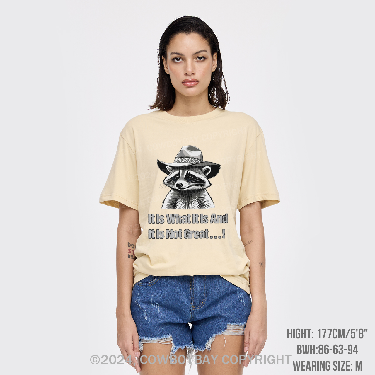 It Is What It Is And It Is Not Great T-Shirts