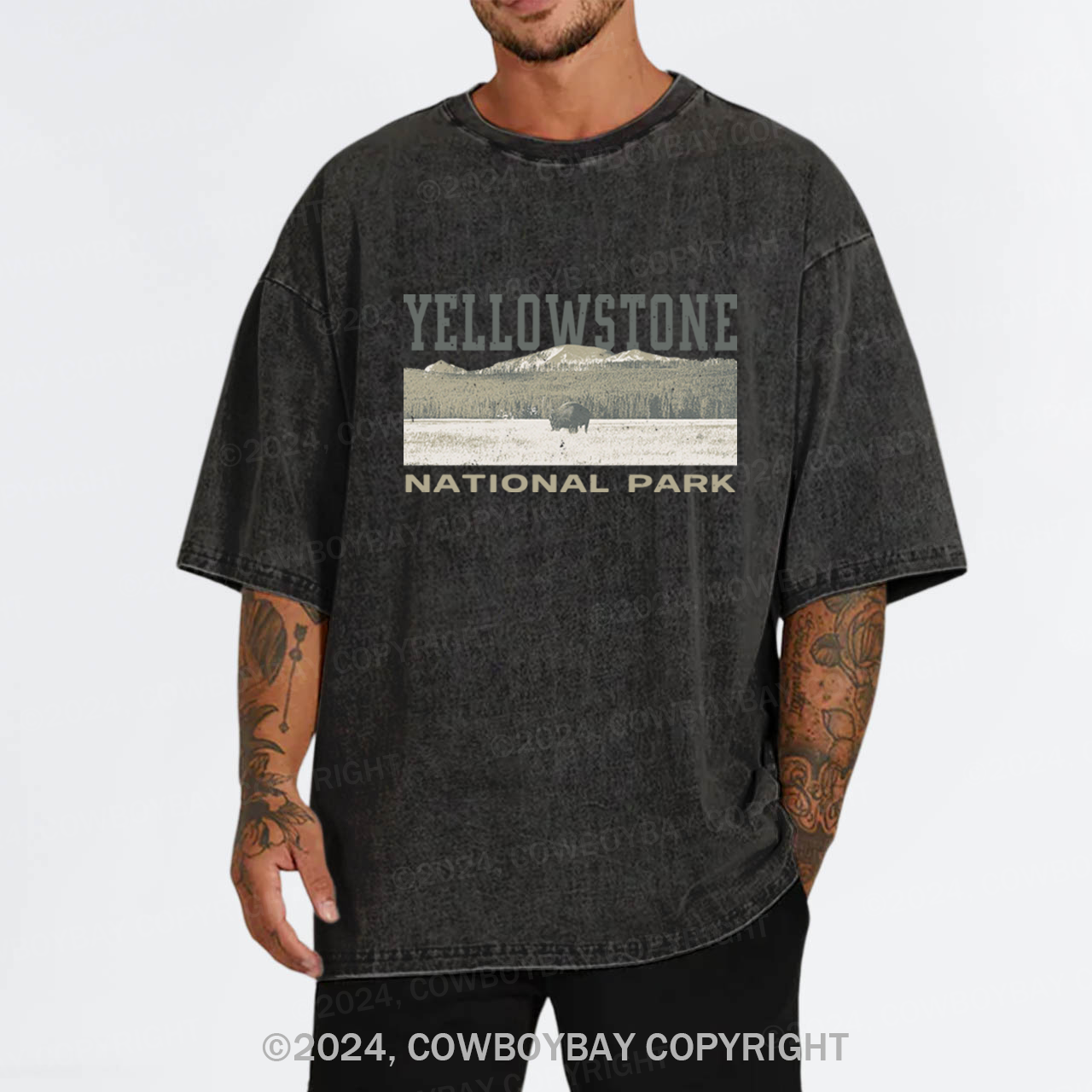 Buffalo Sunset Garment-dye Tees