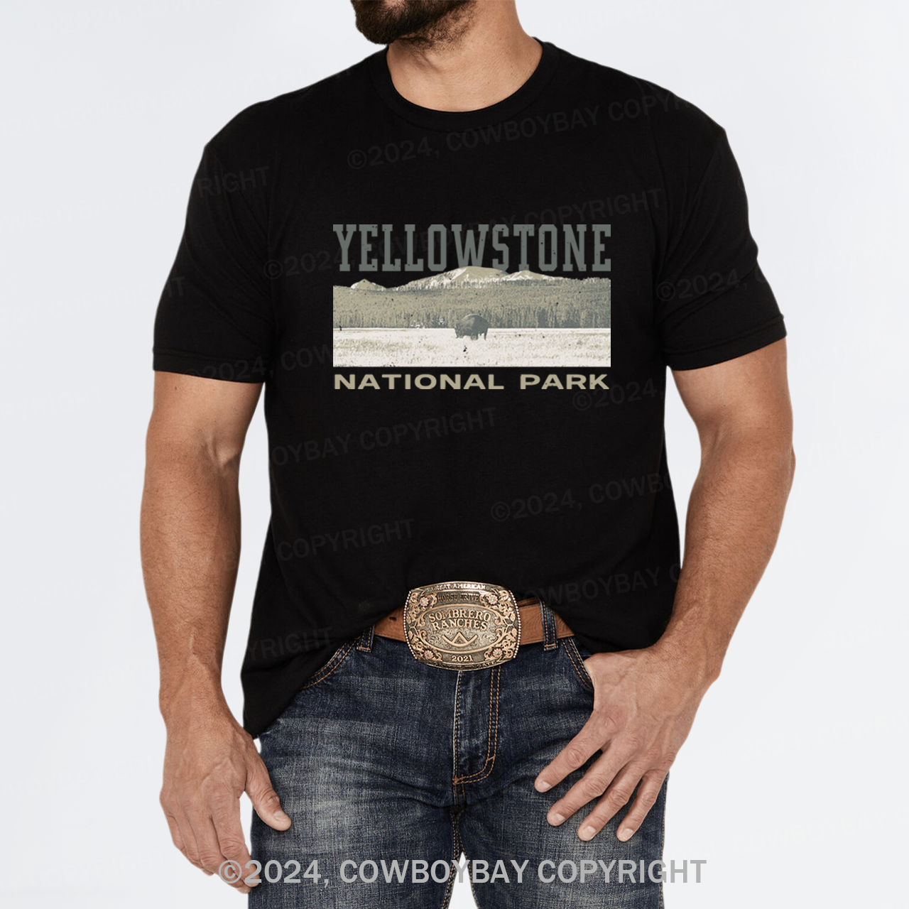 Buffalo Sunset T-Shirts