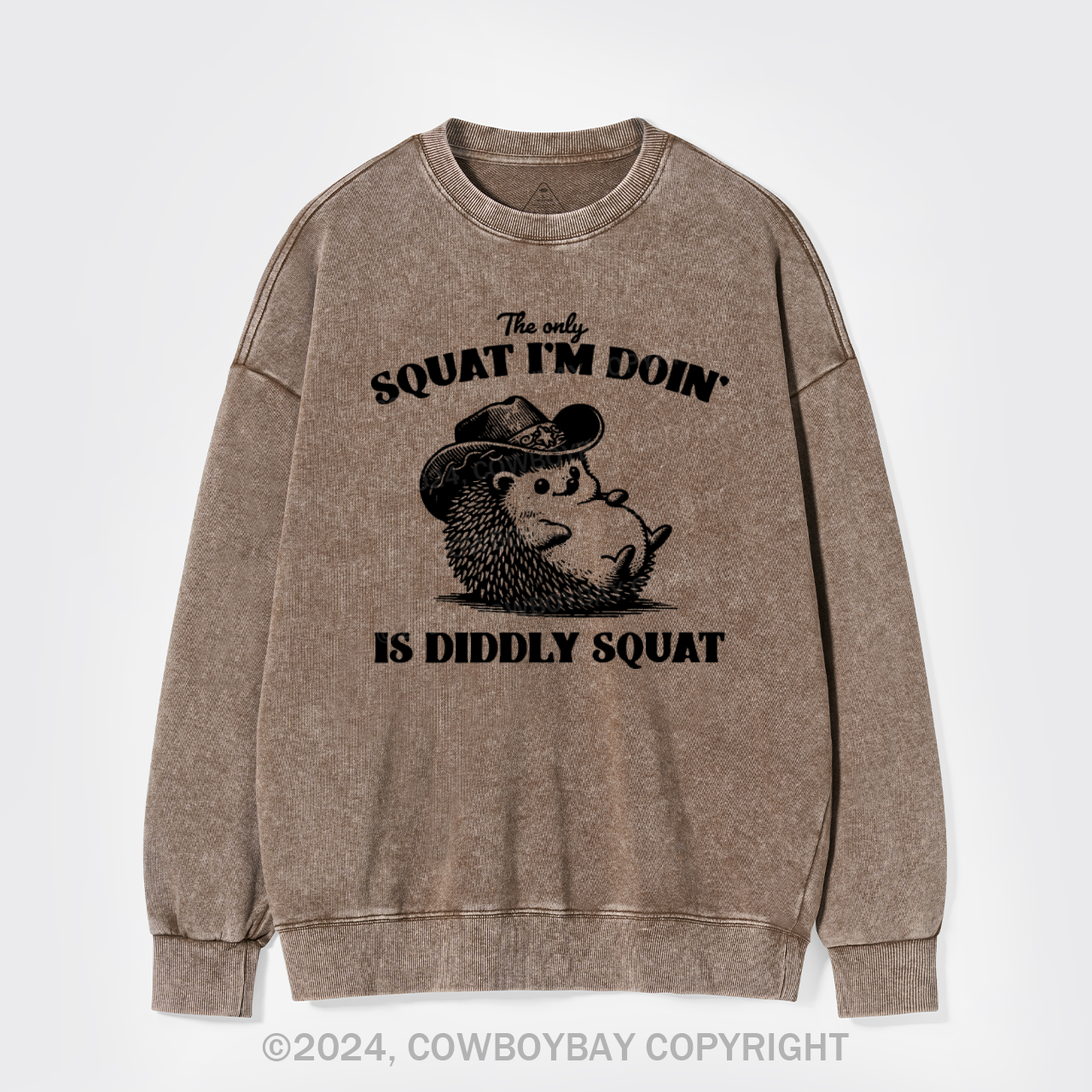 The Only Squat I'm Doing,Is Diddly Squat Washed Sweatshirts