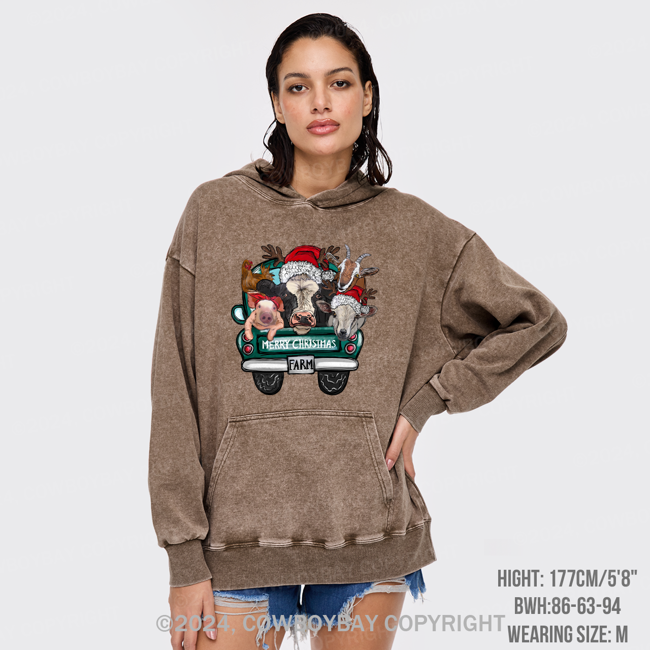 Attend A Christmas Party With Three Farm Pets Garment-Dye Hoodies