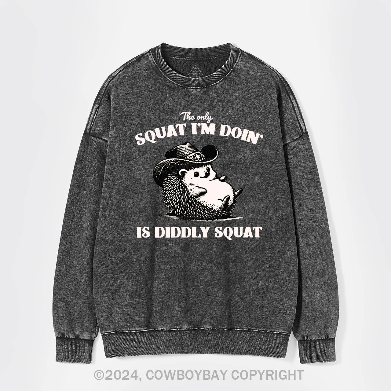 The Only Squat I'm Doing,Is Diddly Squat Washed Sweatshirts