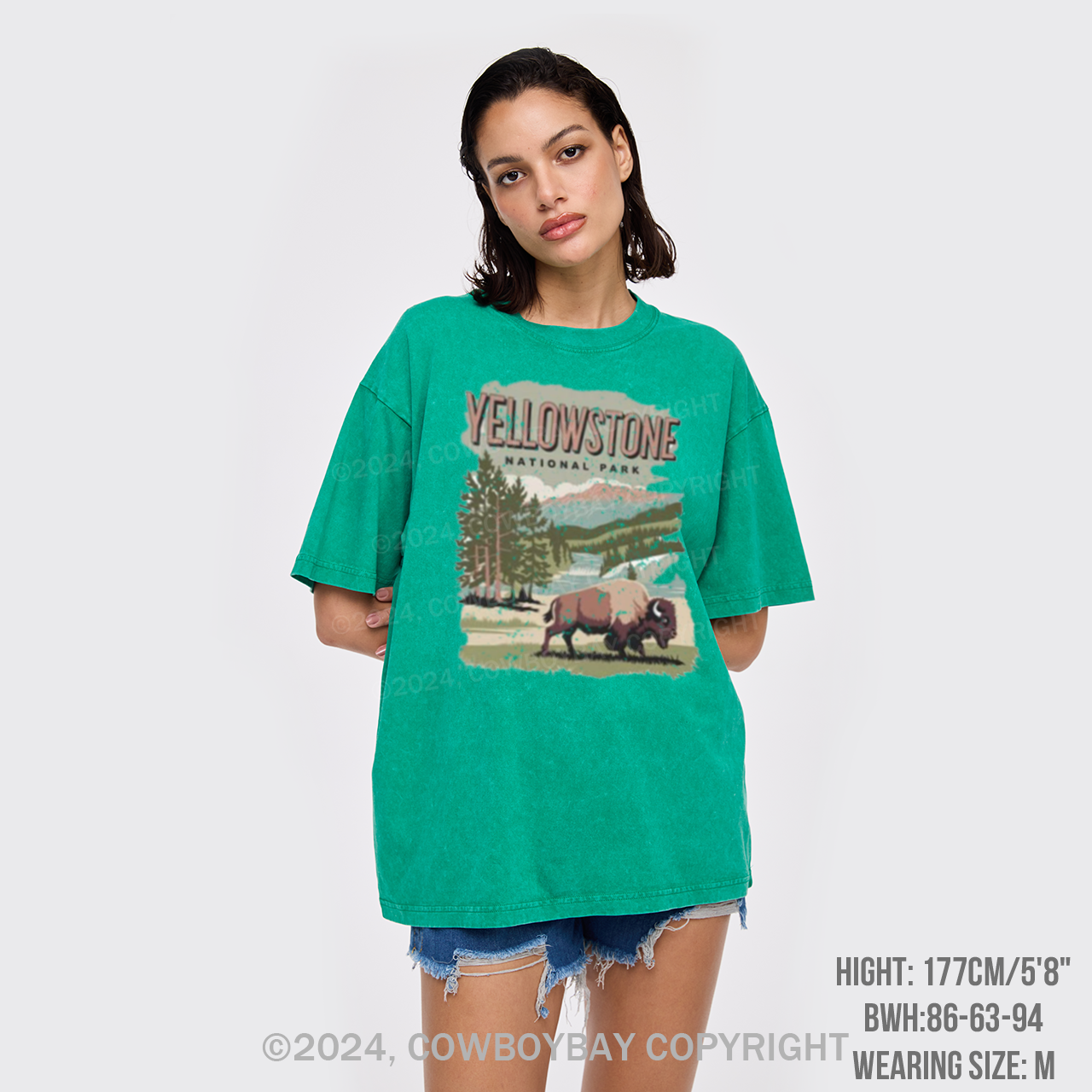 Vintage Yellowstone National Park Garment-dye Tees