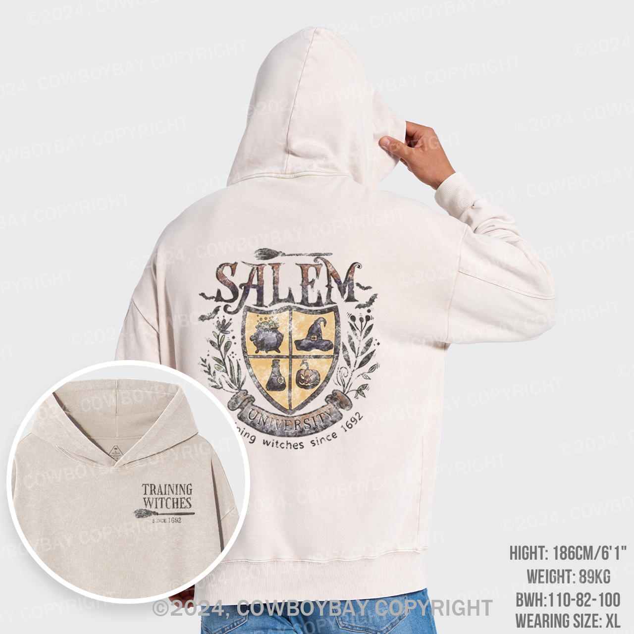 Salem University Hocus Pocus Garment-Dye Hoodies