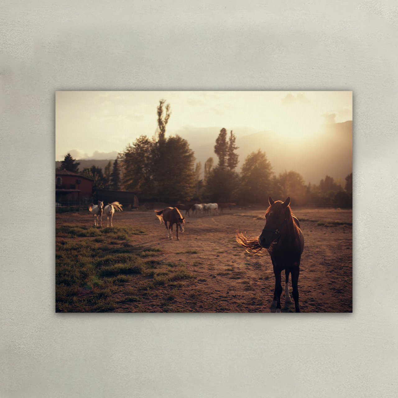 A Day On a Western Farm Canvas Wall Art