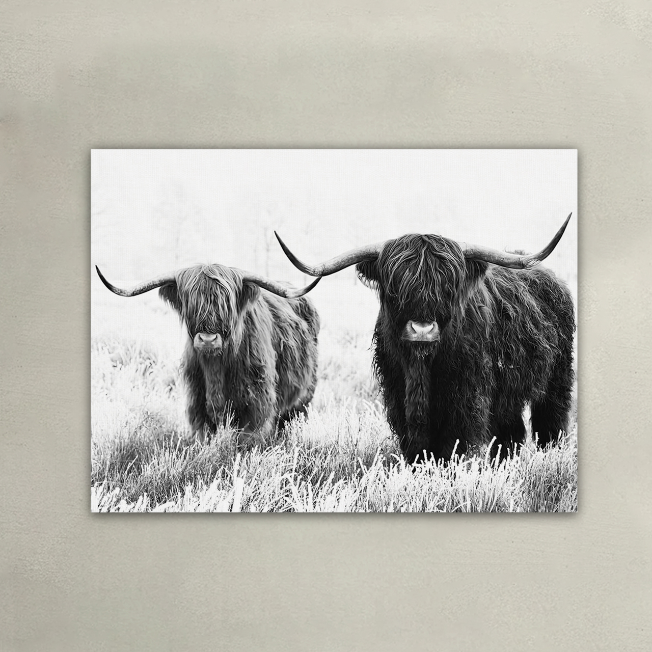 Brave Highland Cow Canvas Wall Art
