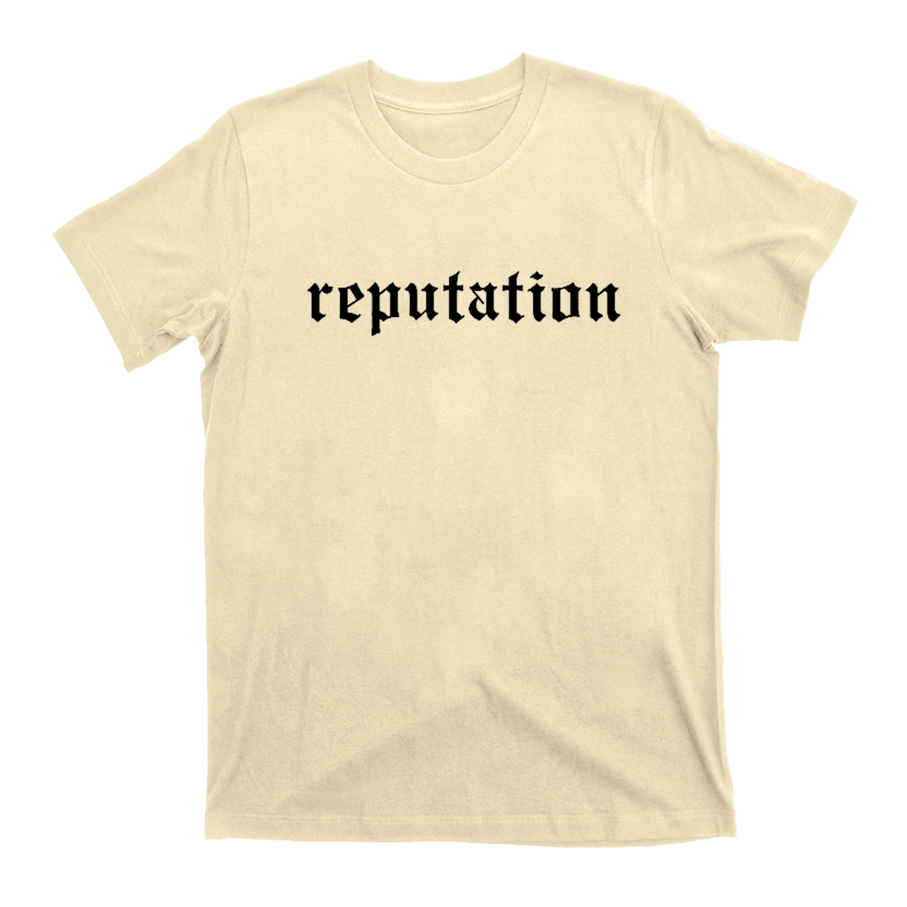Reputation T.S 2024 T-Shirts