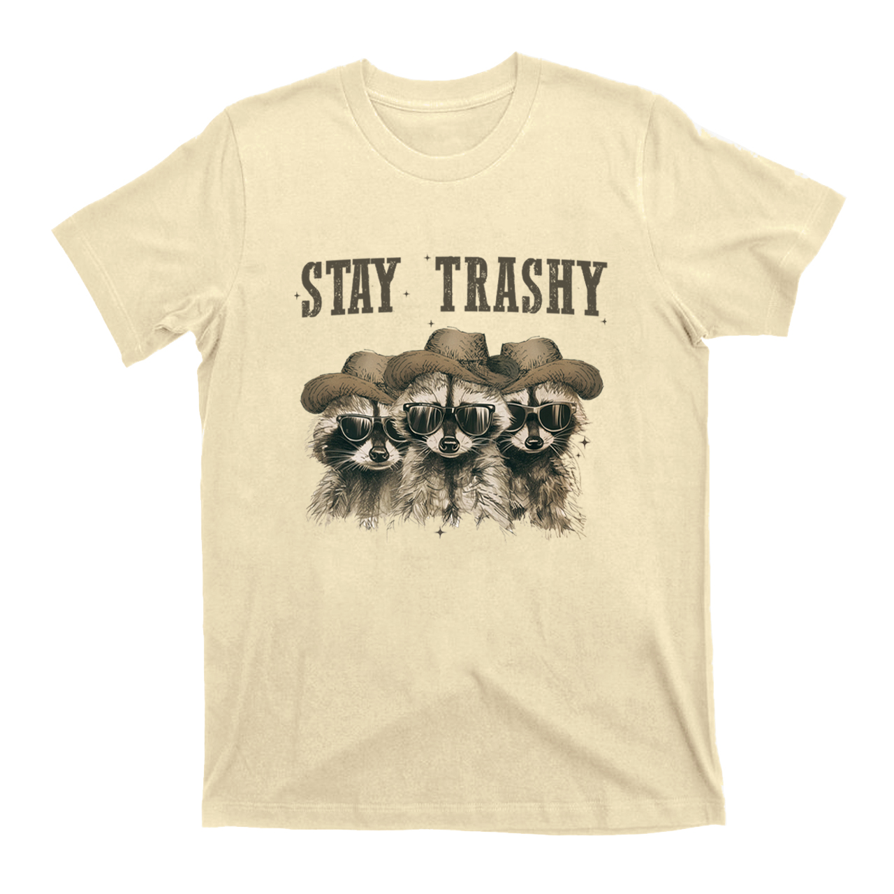 Stay Trashy,Raccoon T-Shirts