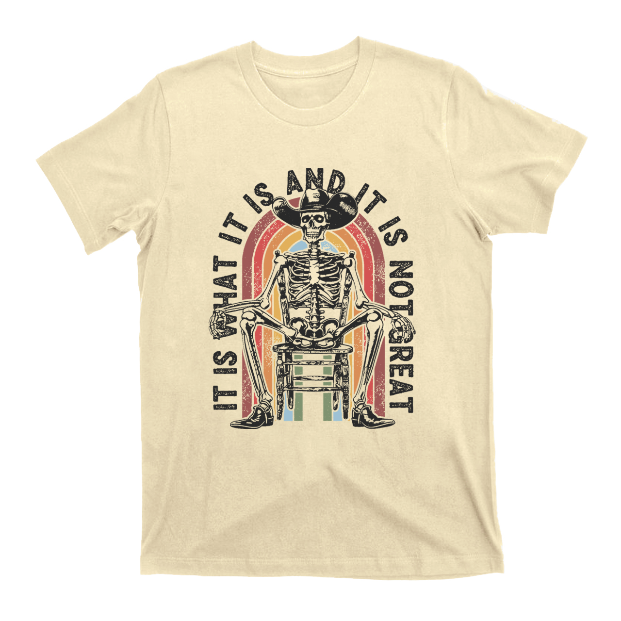 It Is What It Is And It Is Not Great T-Shirts