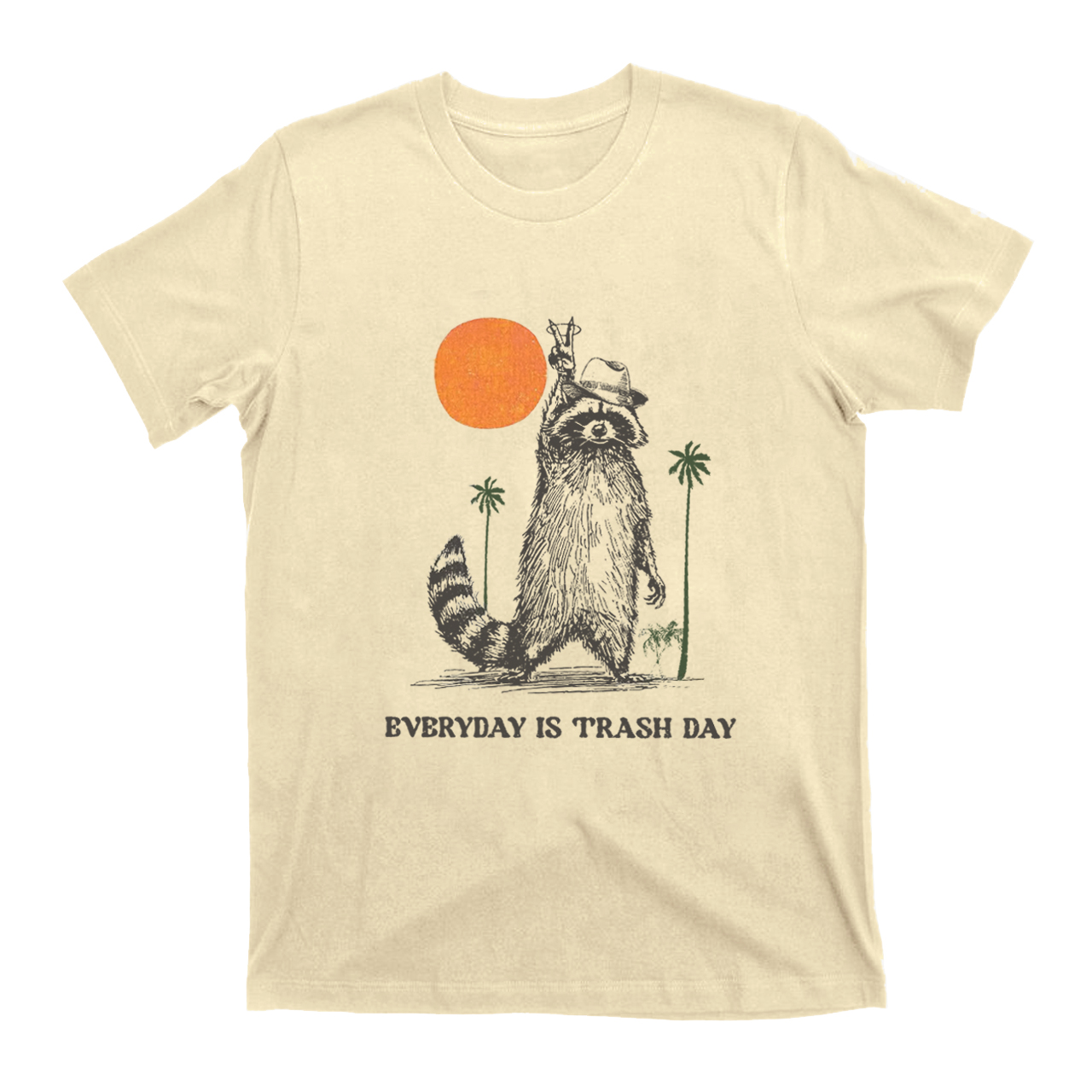 Everyday Is Trash Day,Raccoon T-Shirts