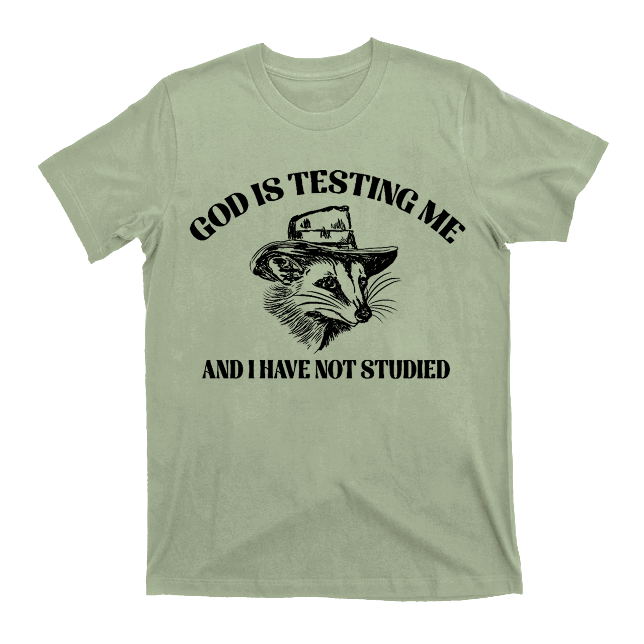 God Is Testing Me Funny T-Shirts