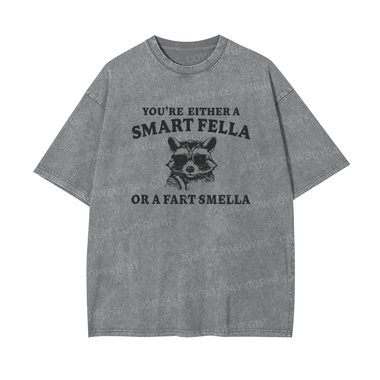 Are You A Smart Fella Or Fart Smella Garment-dye Tees