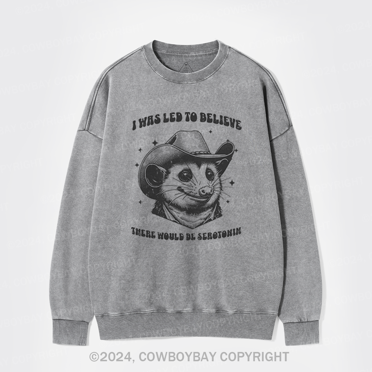 I Was Led To Believe Be Seratonin Washed Sweatshirts