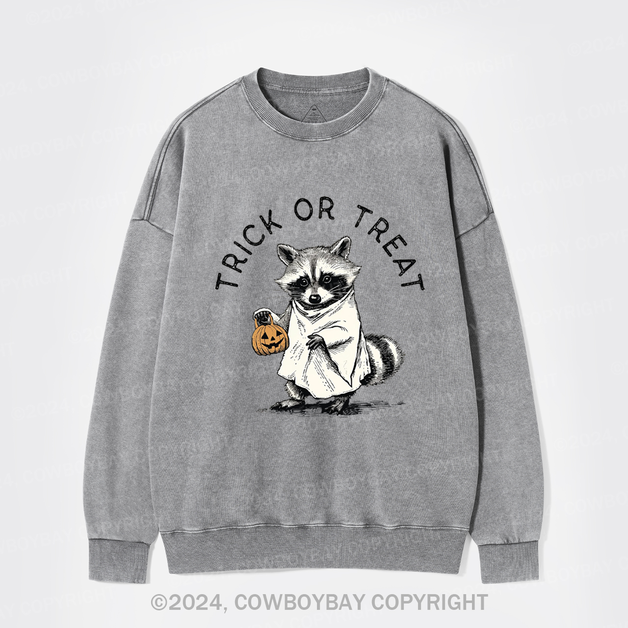 Trick Of Treat Washed Sweatshirts