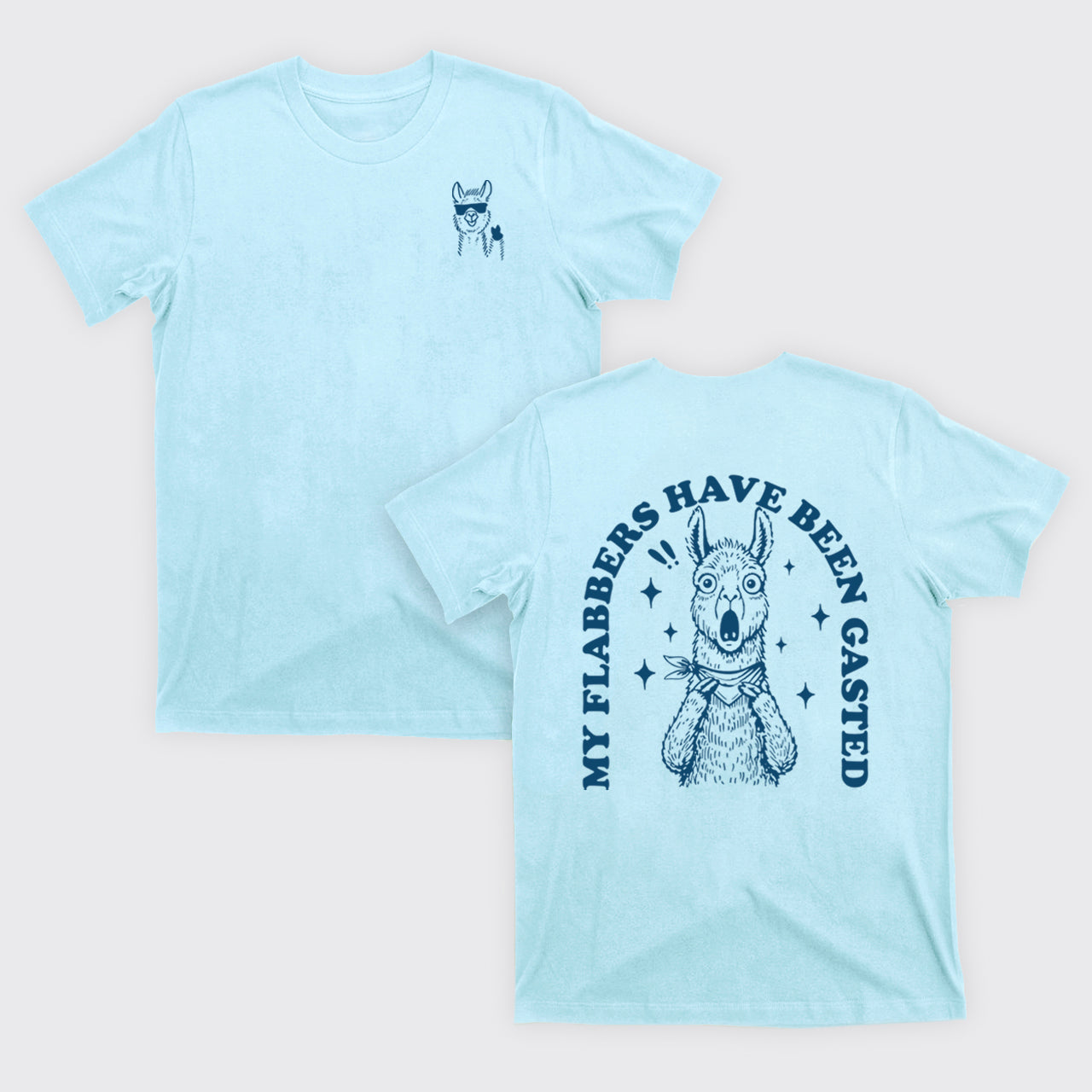 Snarky Sayings-My Flabbers Have Been Gasted T-Shirts