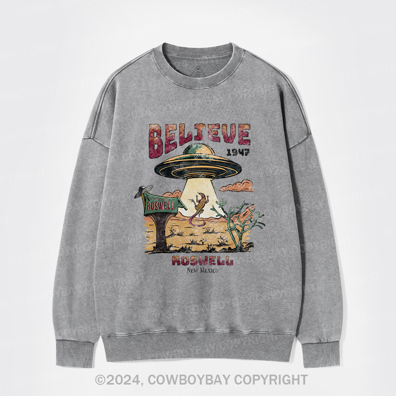 Believe Alien Washed Sweatshirts