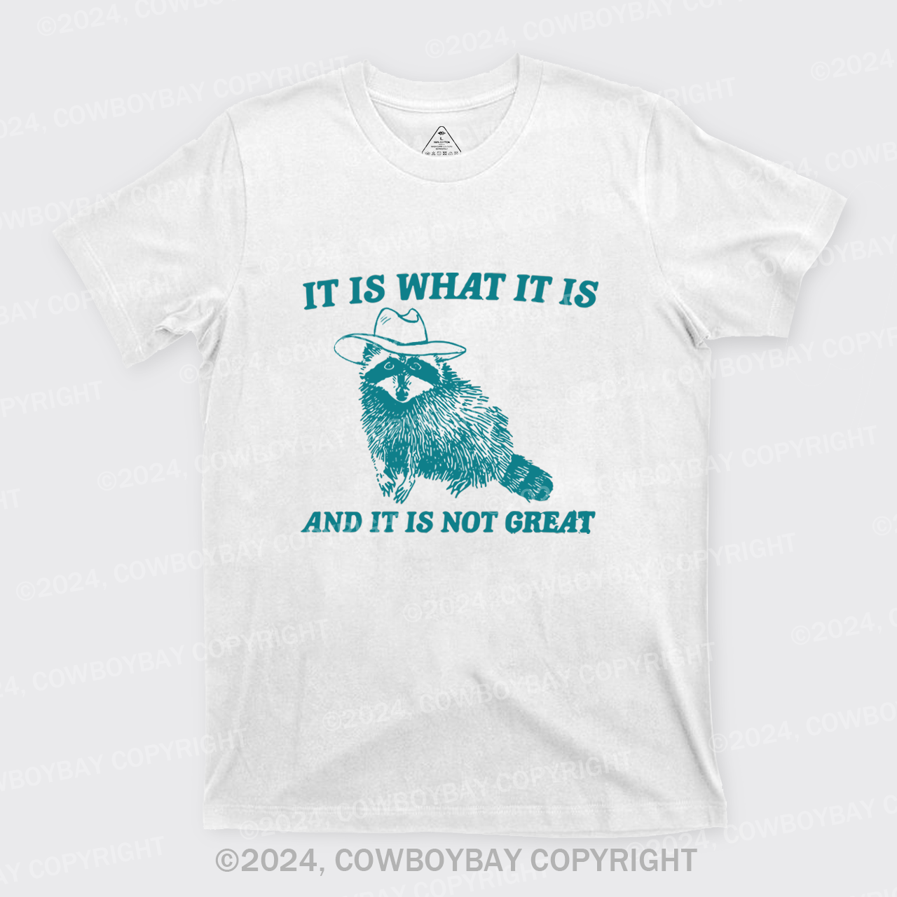 It Is What It Is And It Is Not Great T-Shirts