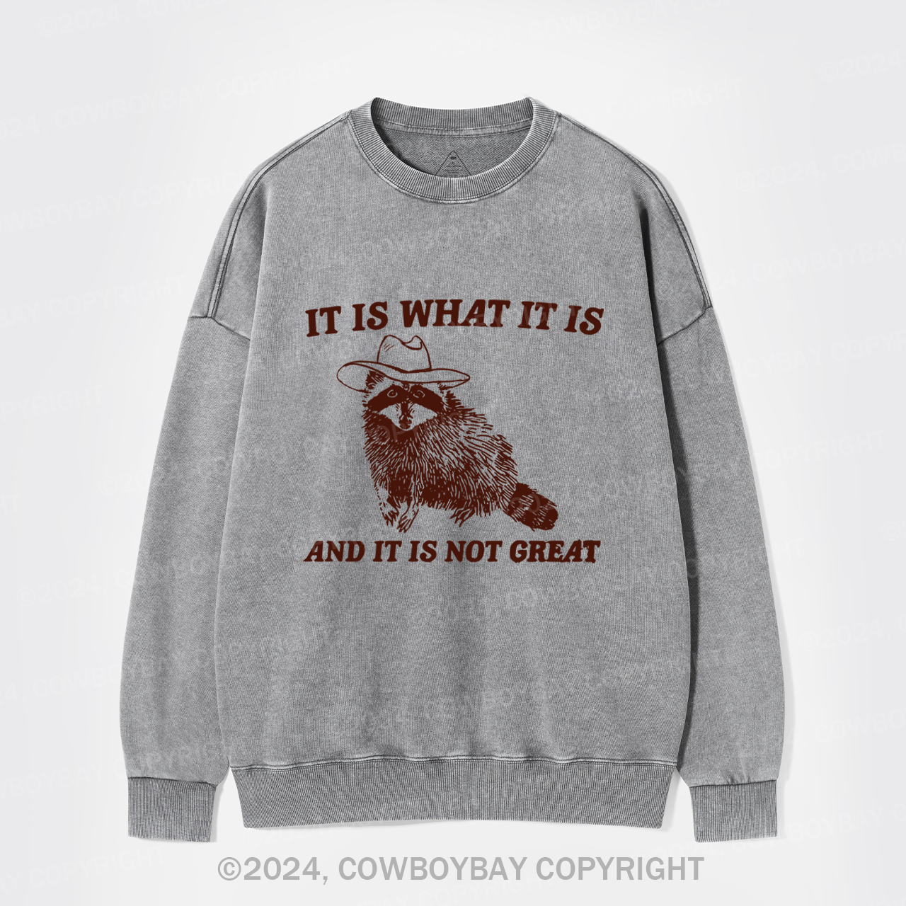It Is What It Is And It Is Not Great Washed Sweatshirts