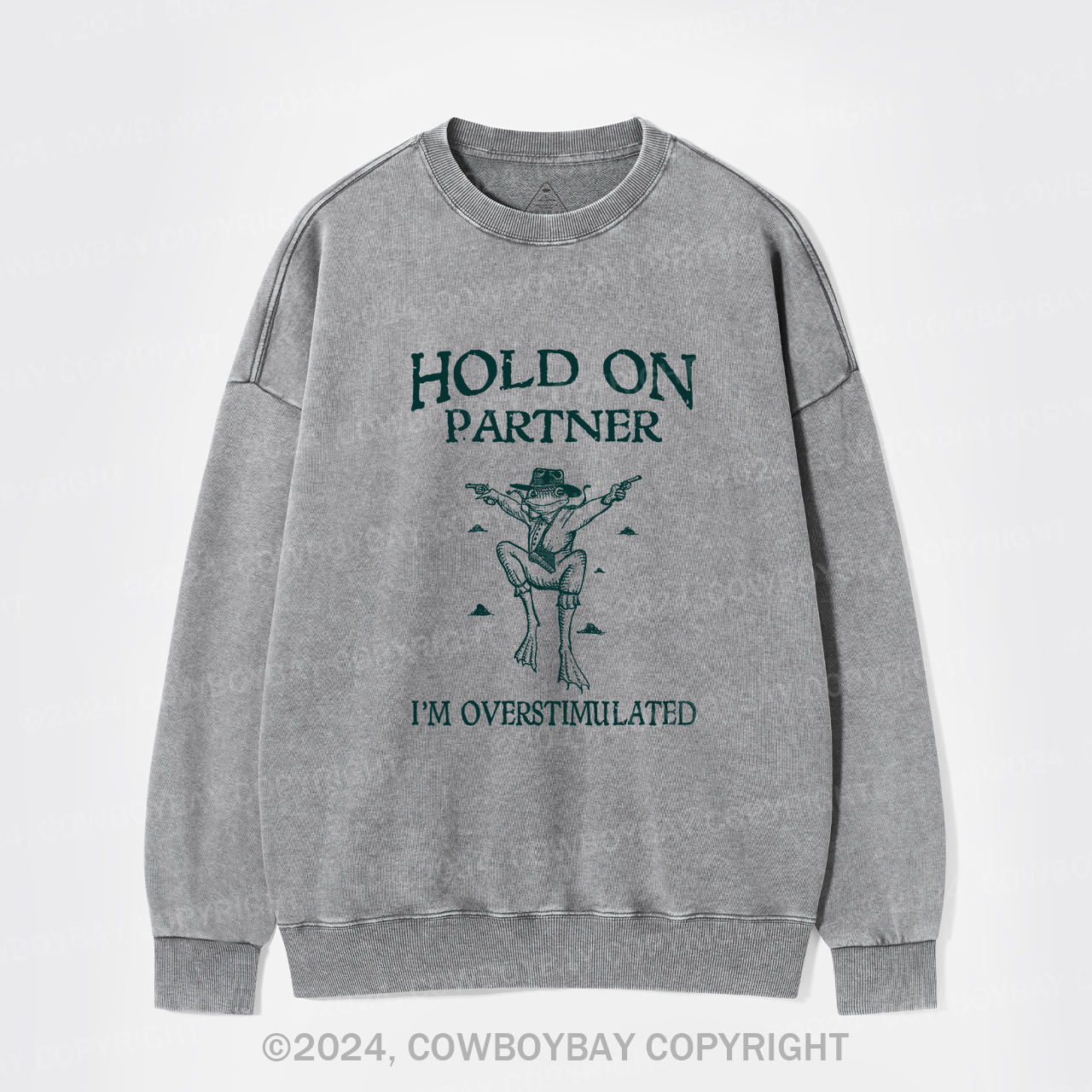 Wait, I'm So Excited Washed Sweatshirts