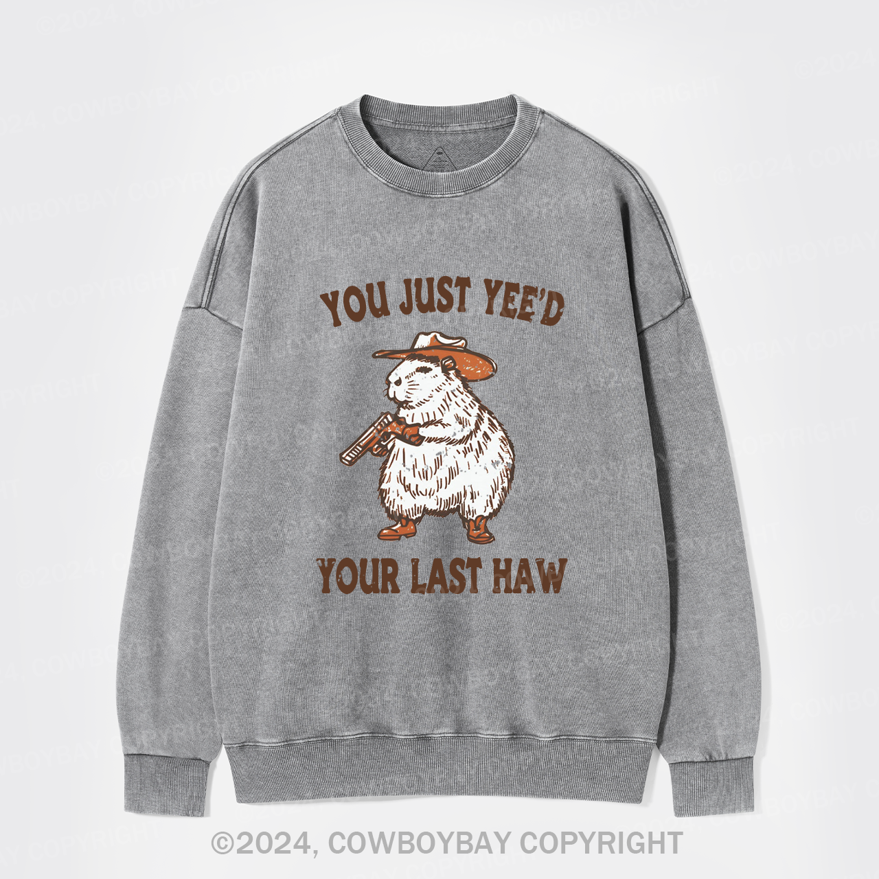 You've Lost Your Last Chance Washed Sweatshirts