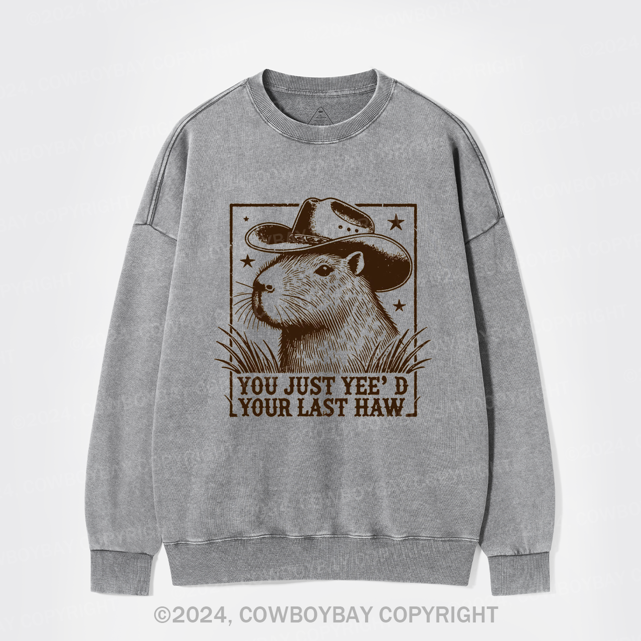 Goodbye, My Partner Washed Sweatshirts