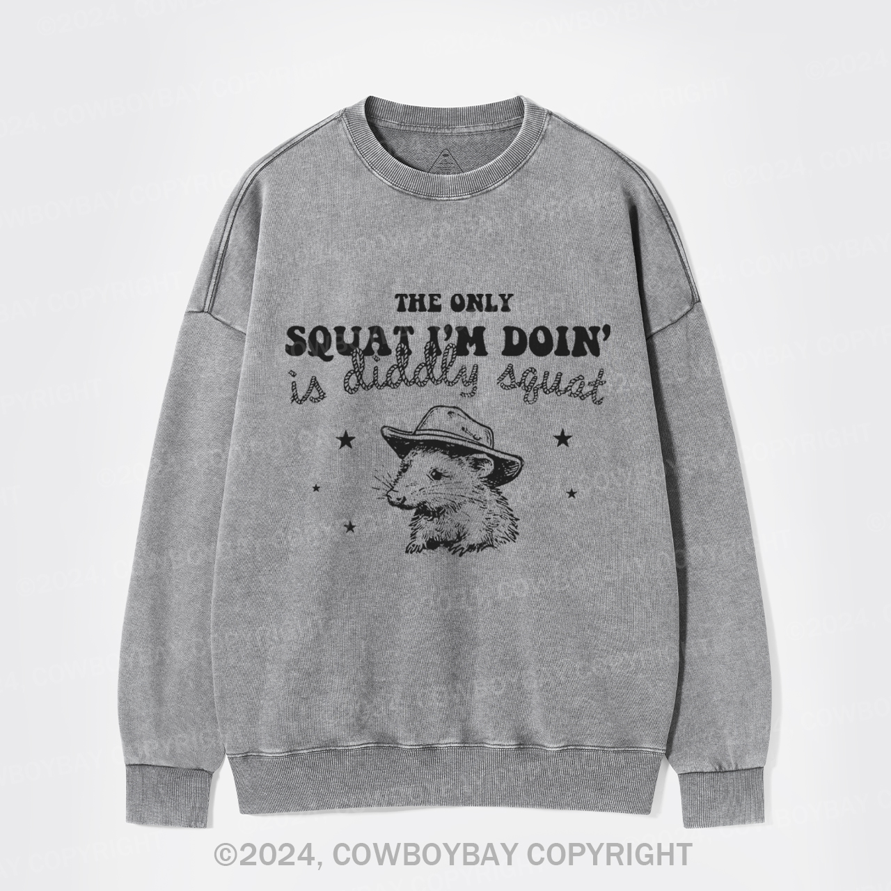 The Only Squat I'm Doing Is Diddly Squat Washed Sweatshirts