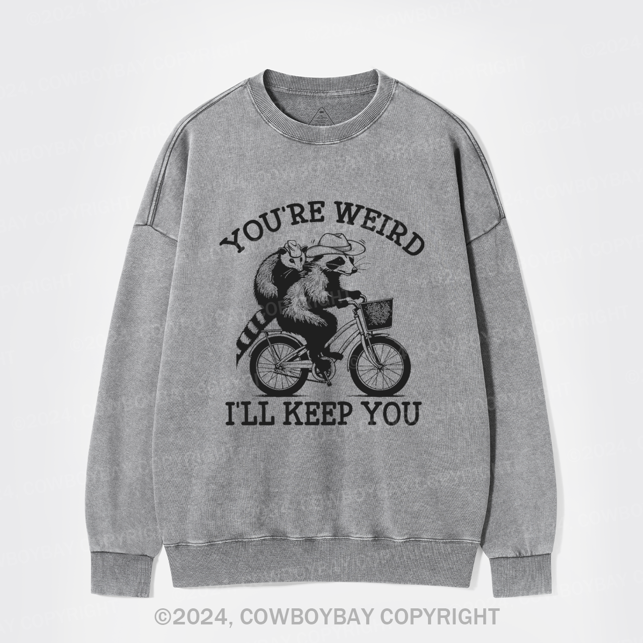 Raccoon And Possum Cycle Riding Washed Sweatshirts