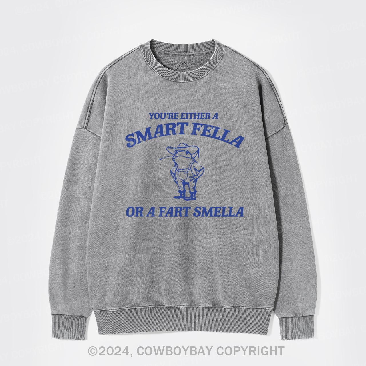 Are You A Smart Fella Or Fart Smella Washed Sweatshirts