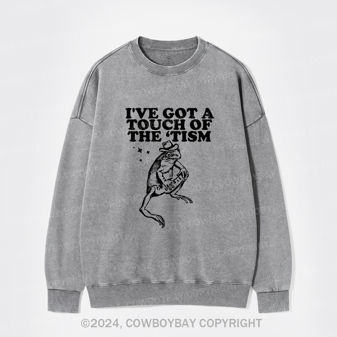 I've Got A Touch Of The Tism Washed Sweatshirts