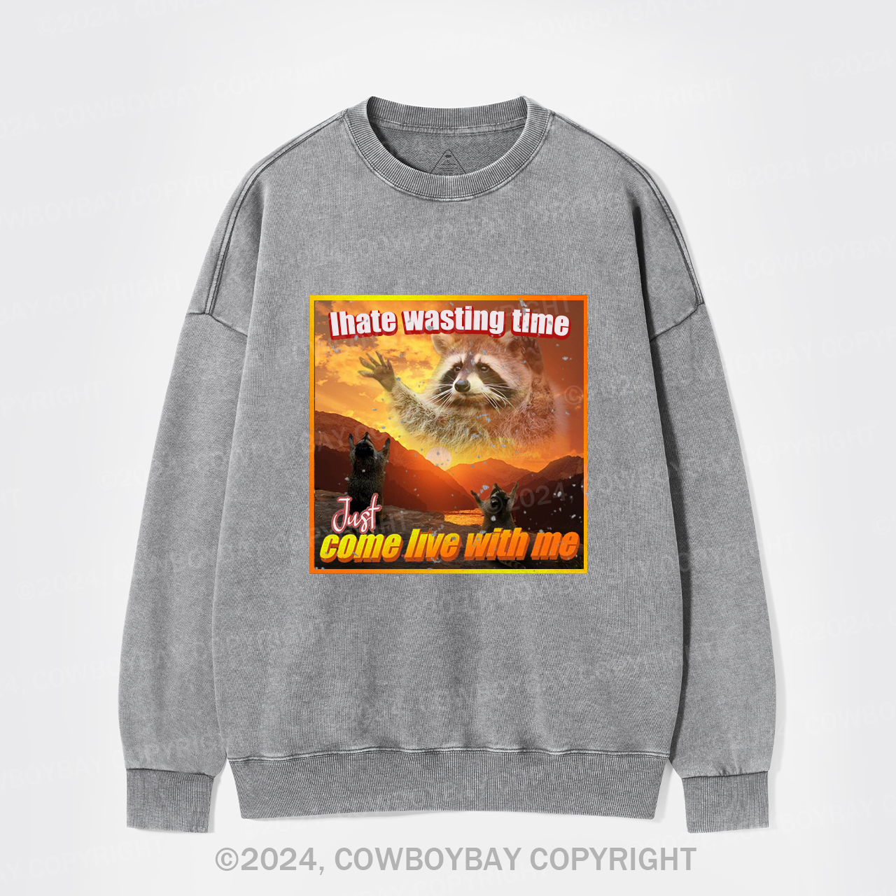 I Hate Wasting Time Just Come Live With Me Washed Sweatshirts