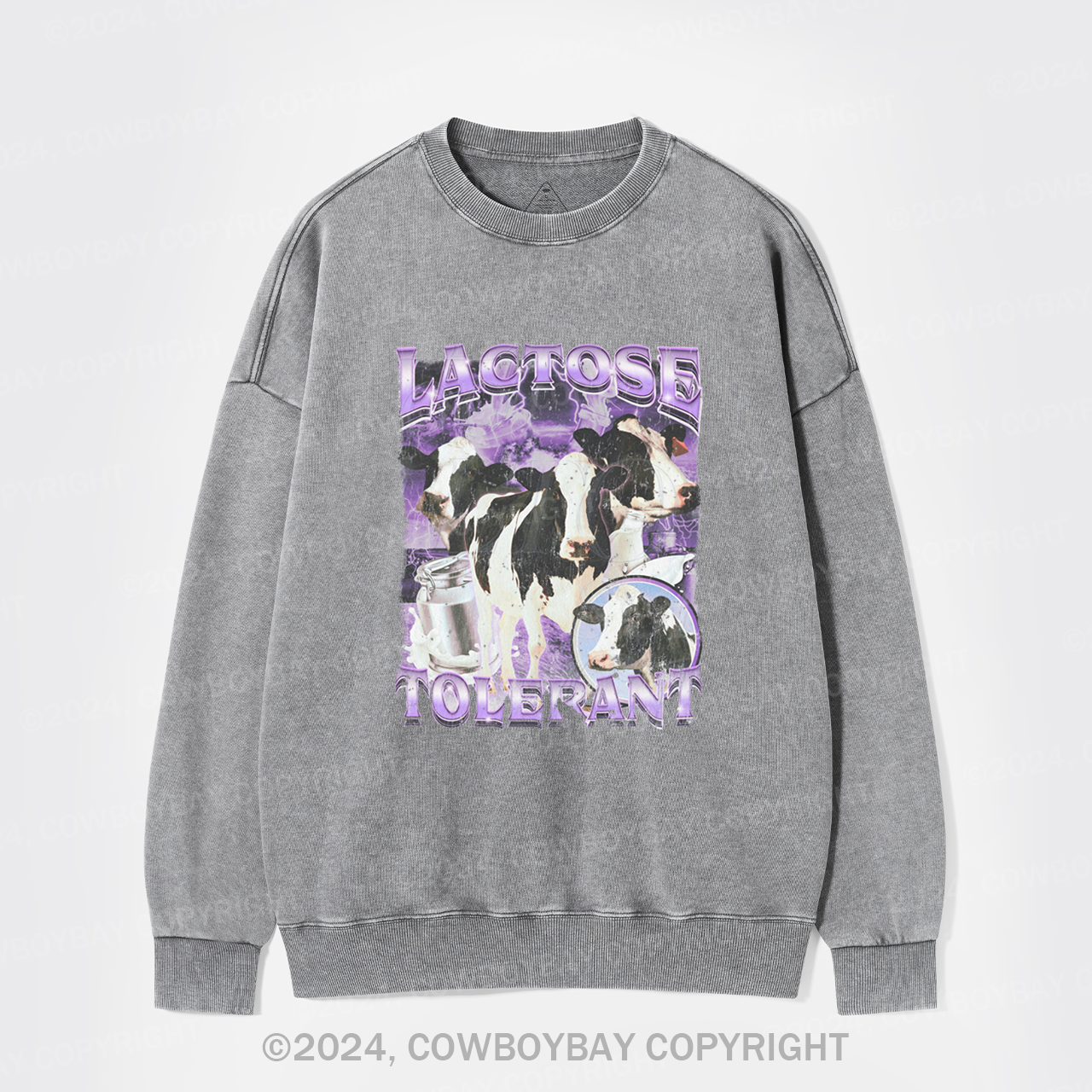 Lactose Tolerant Washed Sweatshirts