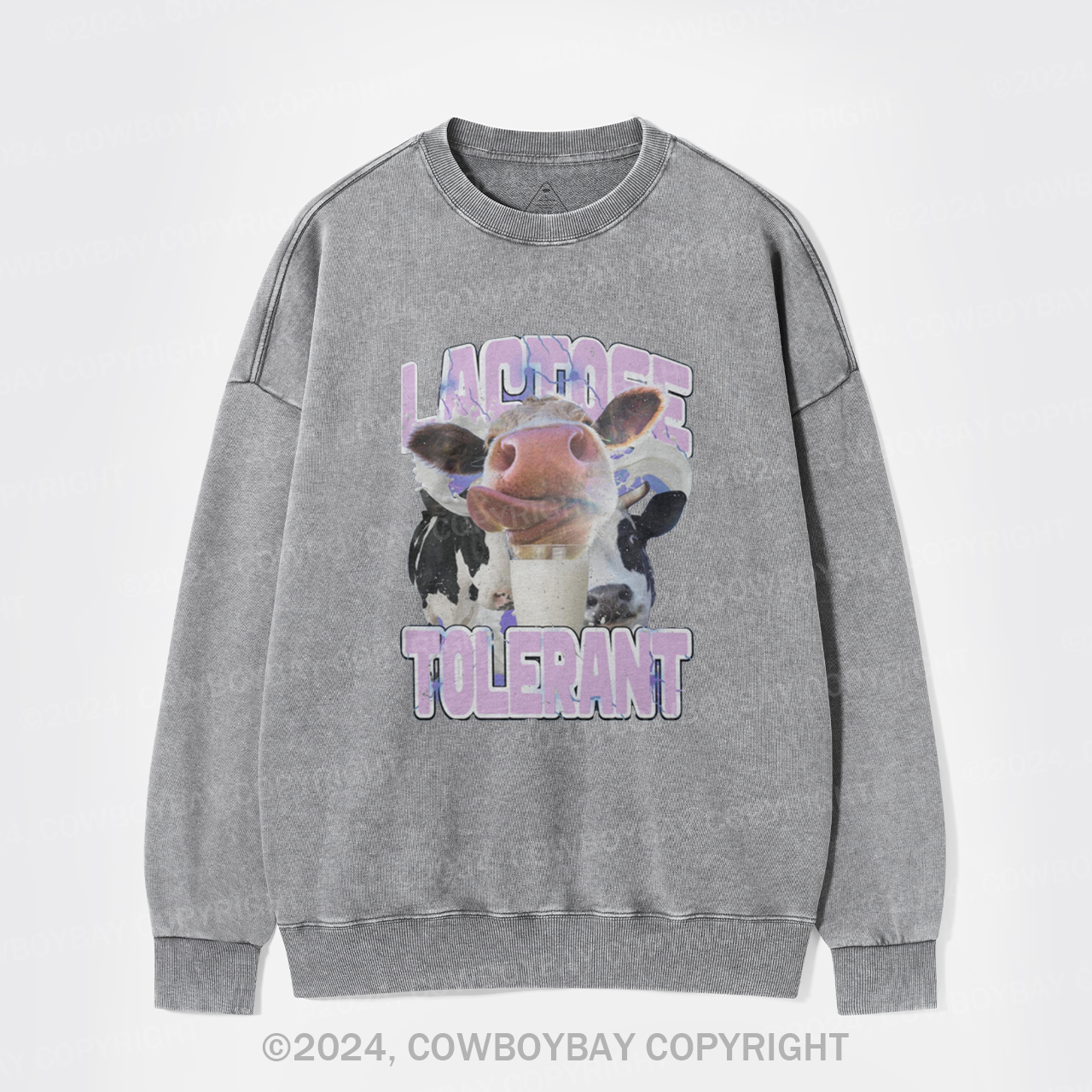 Lactose Tolerant Vintage Washed Sweatshirts