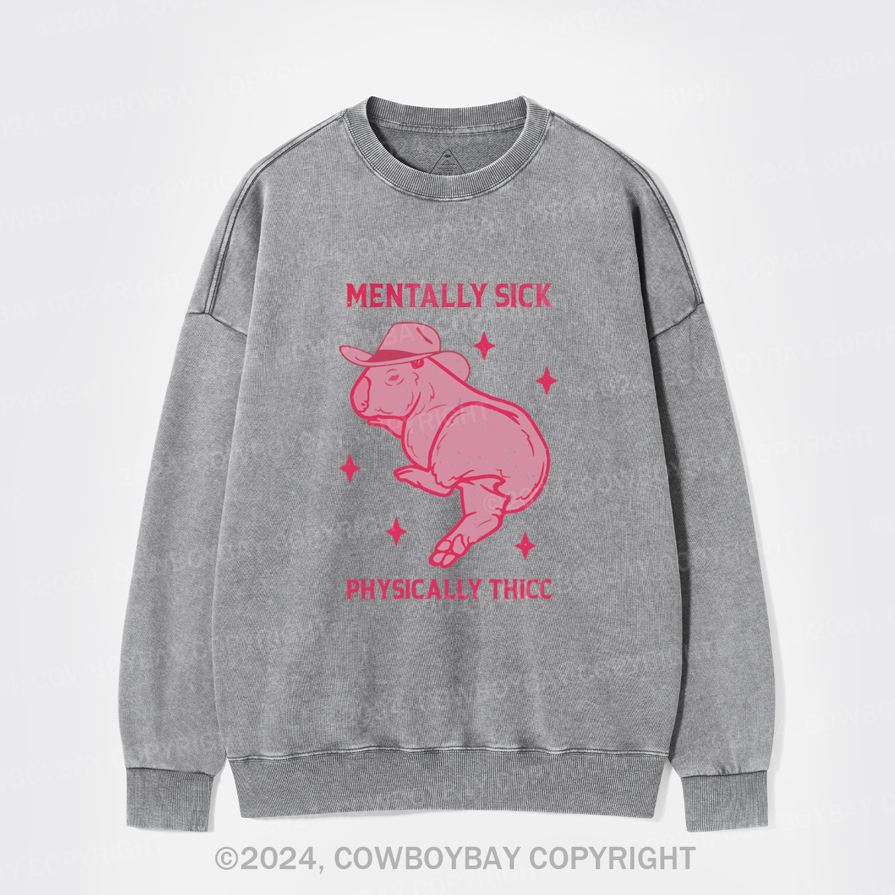 Mentally Sick Physically Thicc Capybara Washed Sweatshirts