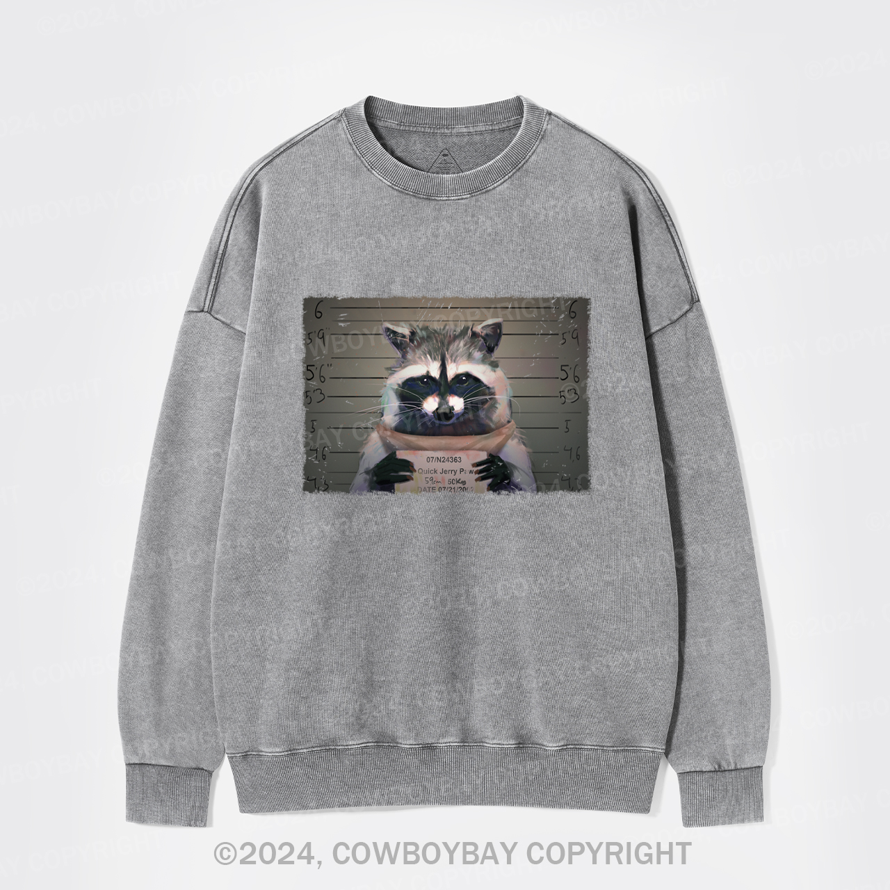 The Captive Raccoon Killer Washed Sweatshirts