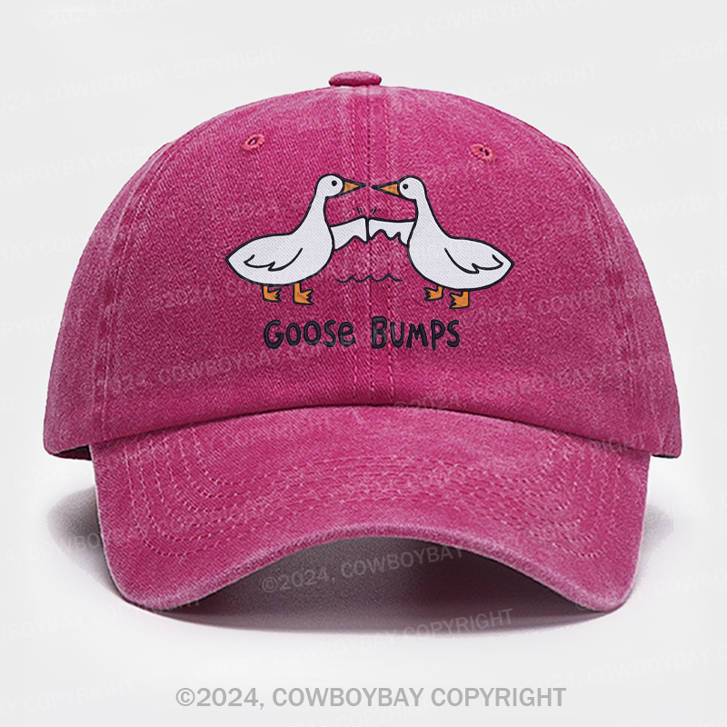 Goose Bump Embroidery Washed Hat