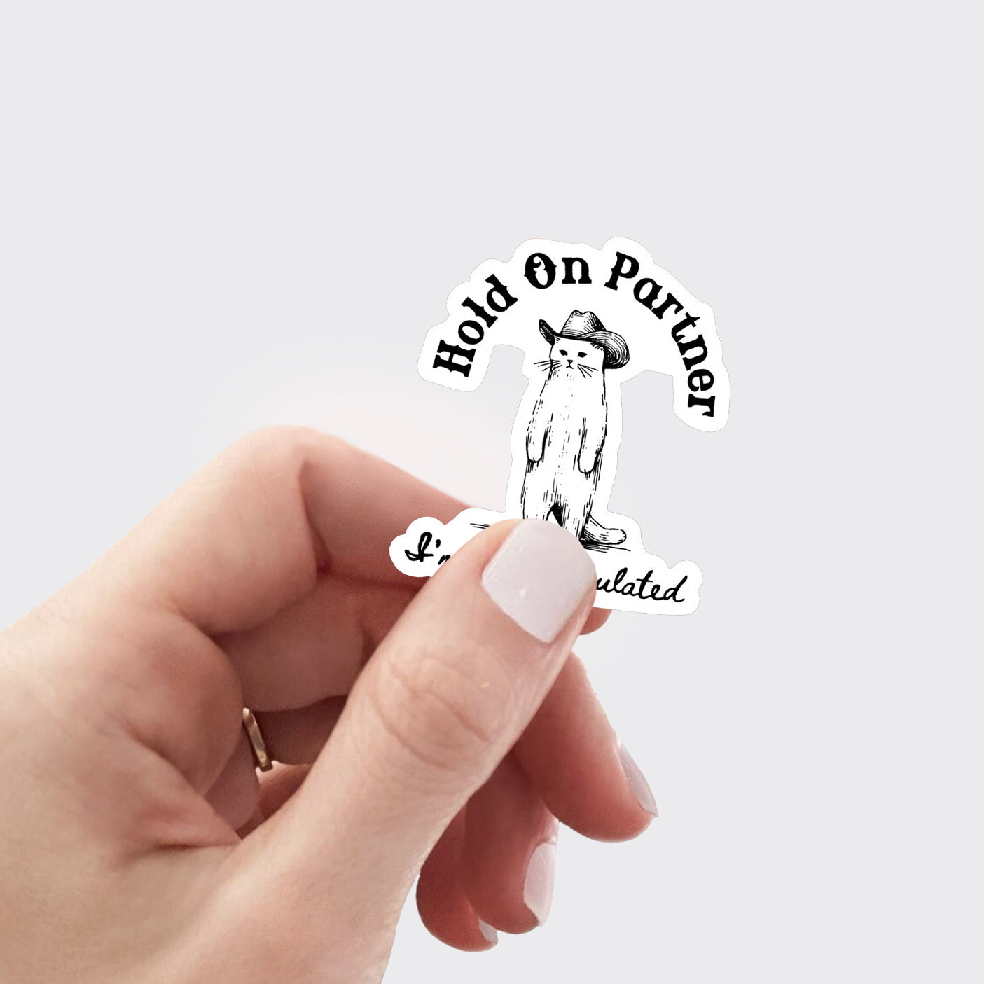 Funny Cat Hold On Partner I'm Overstimulated_Broncobay Sticker