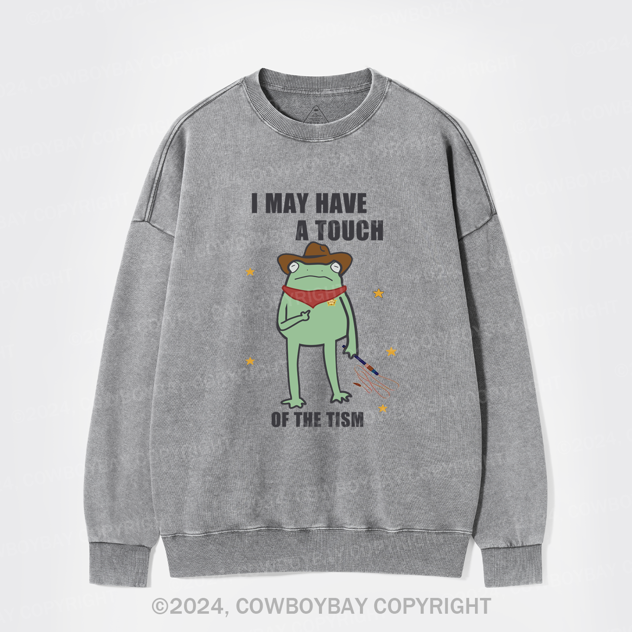 I May Have A Touch Of The Tism Washed Sweatshirts